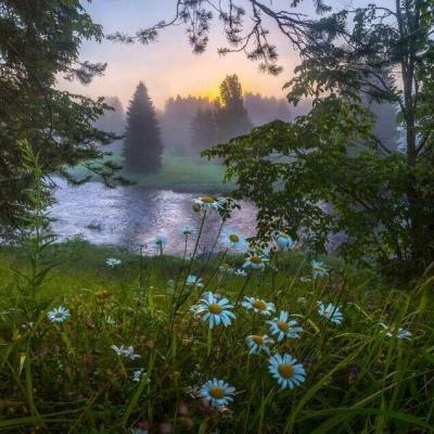 BO半岛综合app安全下载手机app下载